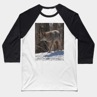 Coyote Baseball T-Shirt